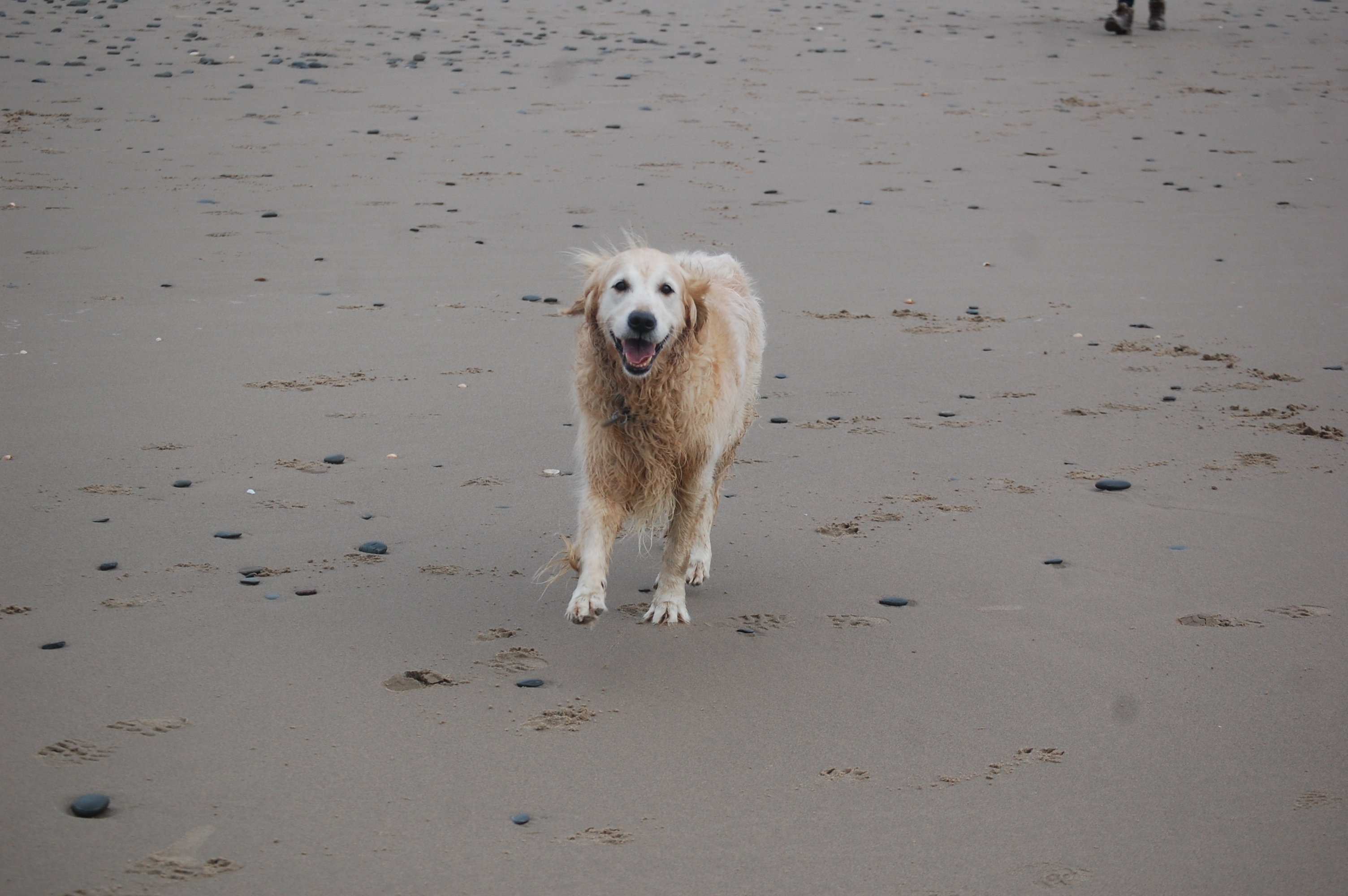 nikon camera 28-12-25 1236