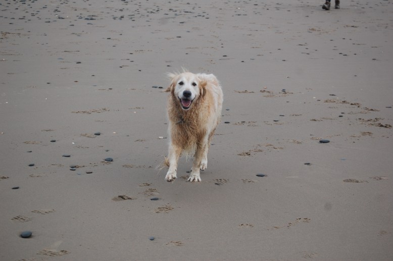 nikon camera 28-12-25 1236